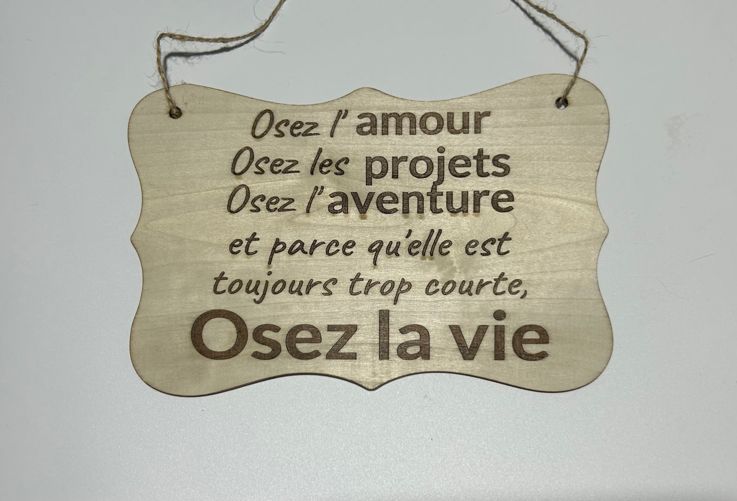 Plaques de décoration en bois humoristiques
